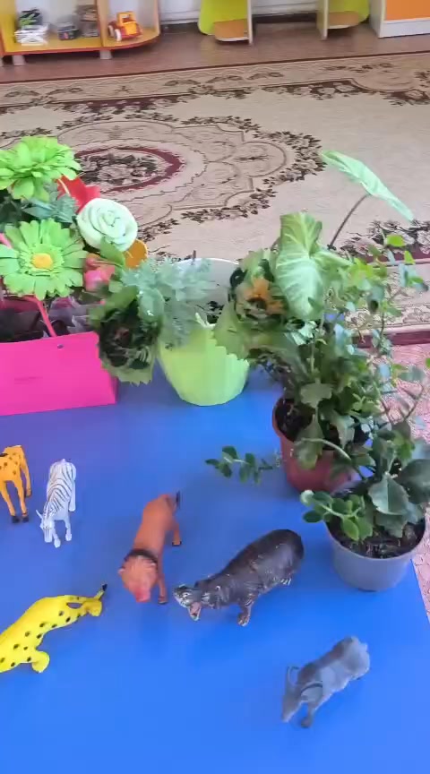 “Нұршуақ” тобы. Тақырыбы: Үй және жабайы жануарлар.